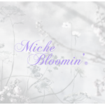 Miche Bloomin